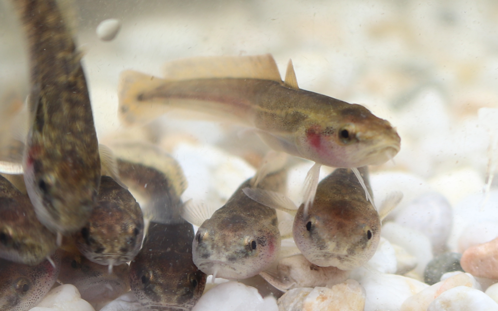 Exklusive Führung für zwei Personen hinter die Kulissen des Aquazoo Löbbecke Museum