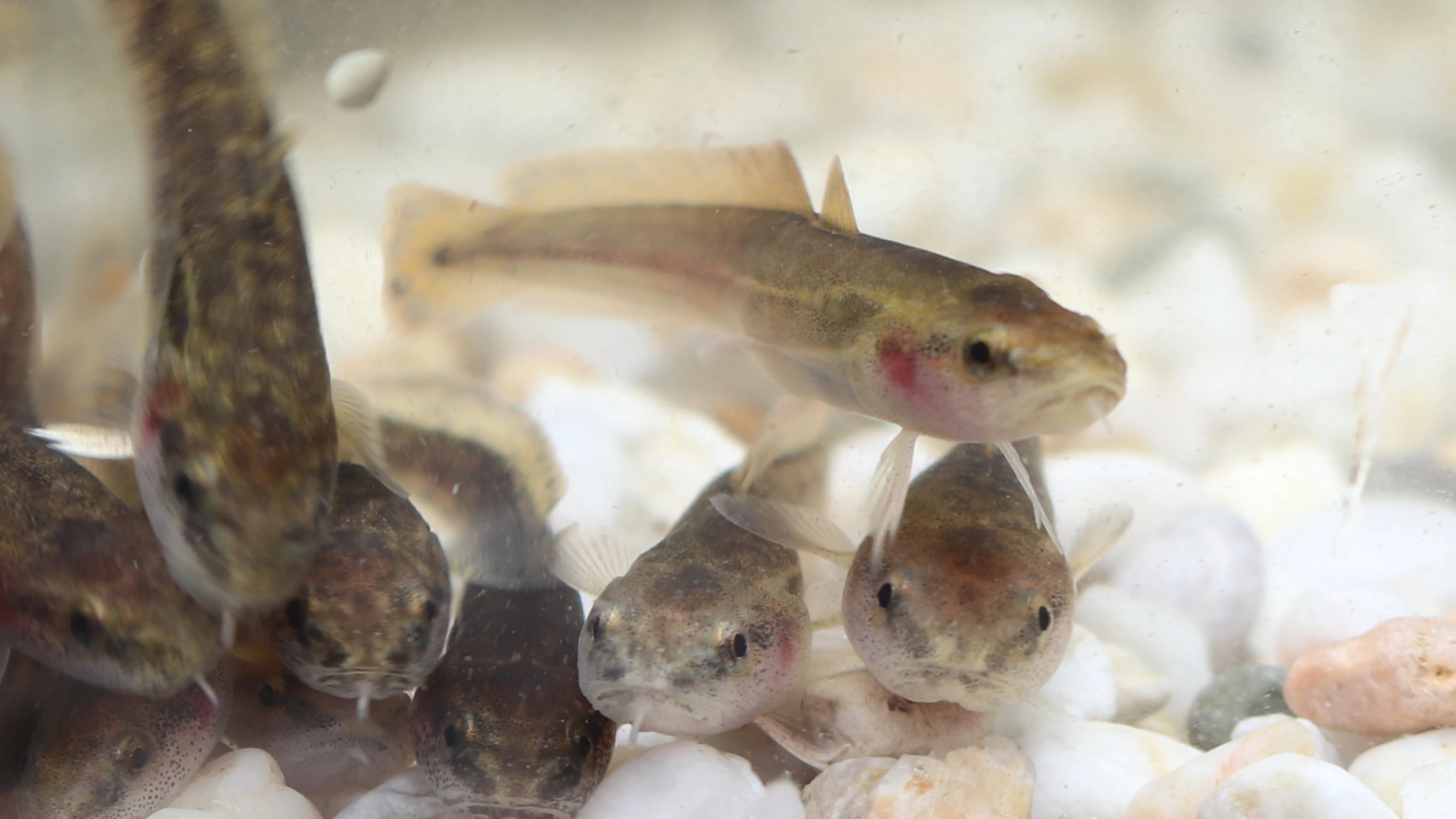 Exklusive Führung für zwei Personen hinter die Kulissen des Aquazoo Löbbecke Museum