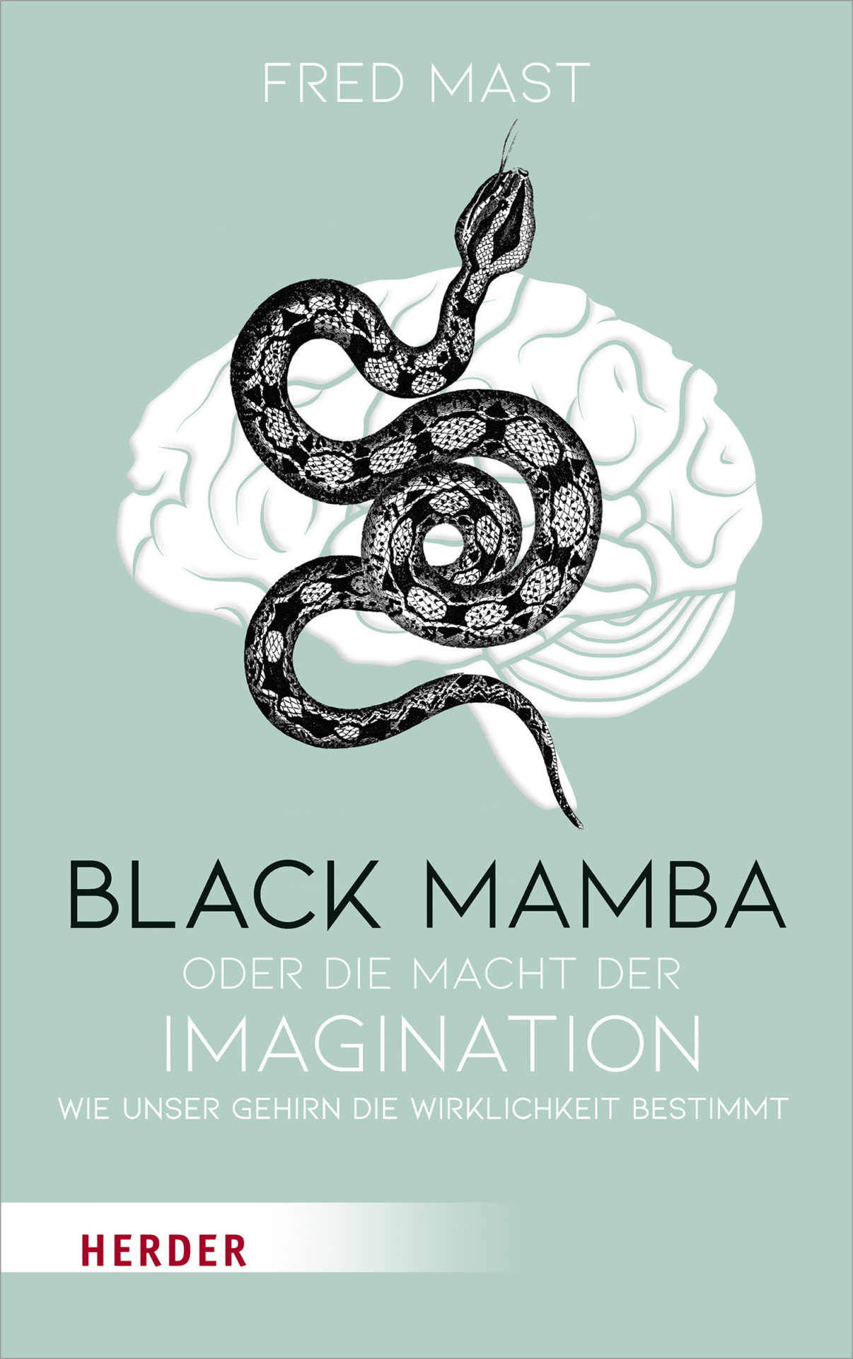 das Buch “Black Mamba oder die Macht der Imagination”
