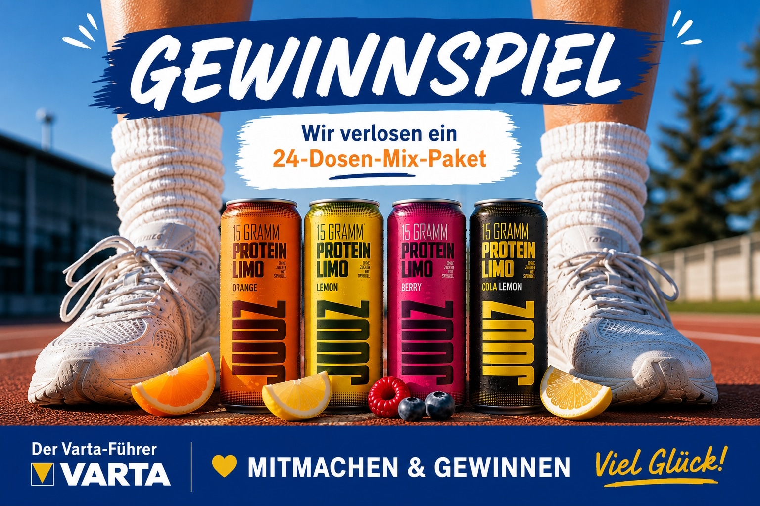 ein: 24-Dosen-Mix-Paket von JUUZ – mit verschiedenen erfrischenden Sorten zum Probieren!