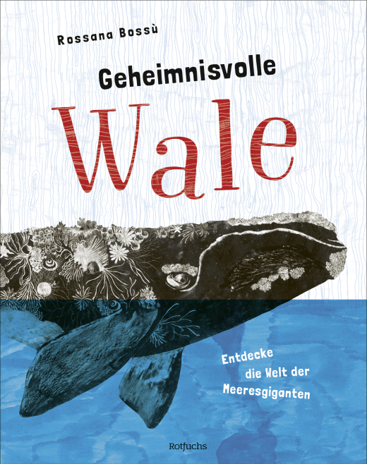 1 Buch von „Geheimnisvolle Wale“