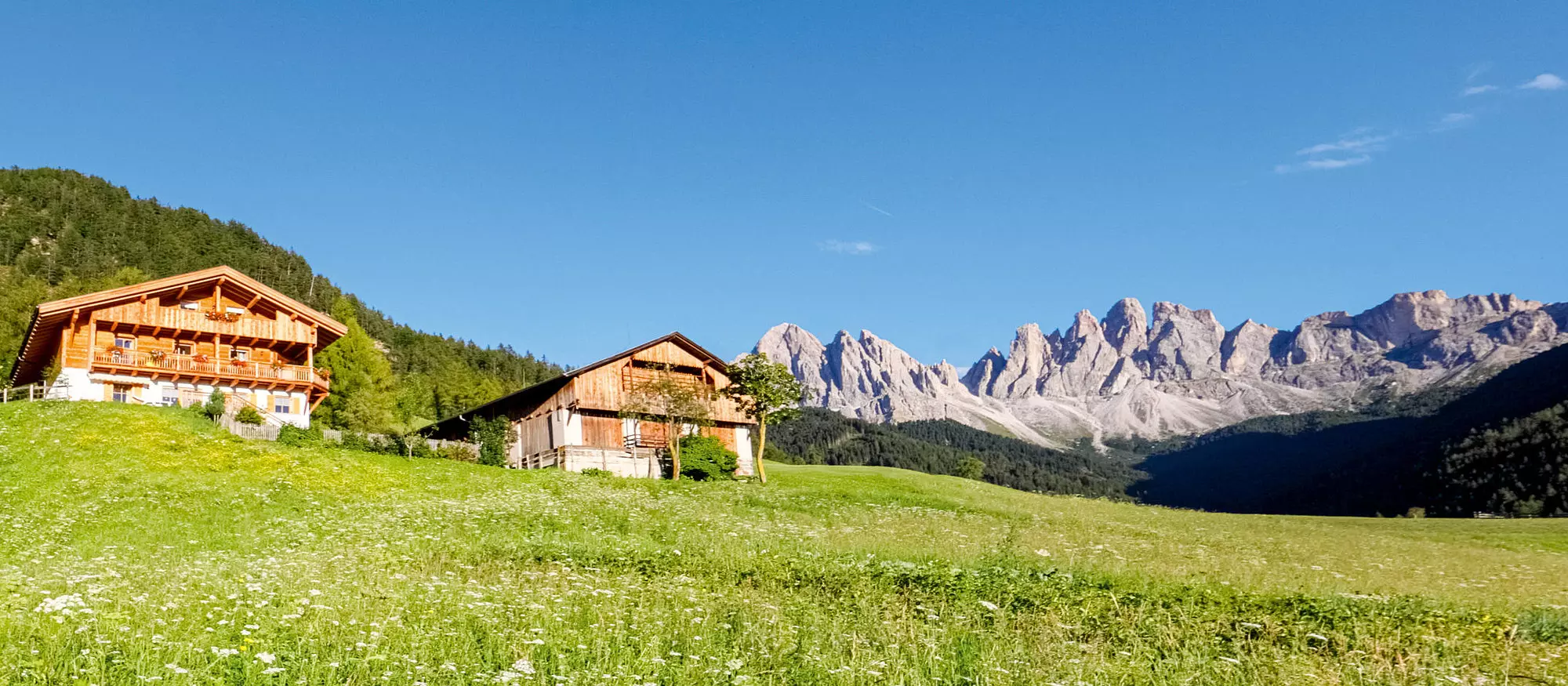 Eine Woche "Urlaub auf dem Bauernhof" in Südtirol