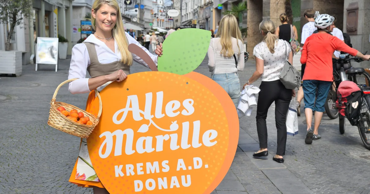 5 Übernachtungspakete für jeweils zwei Personen in Krems (Parkhotel Krems, arte Hotel Krems, Steigenberger Hotel & Spa Krems) Eintragen (Ablauf: 30.07.2026)