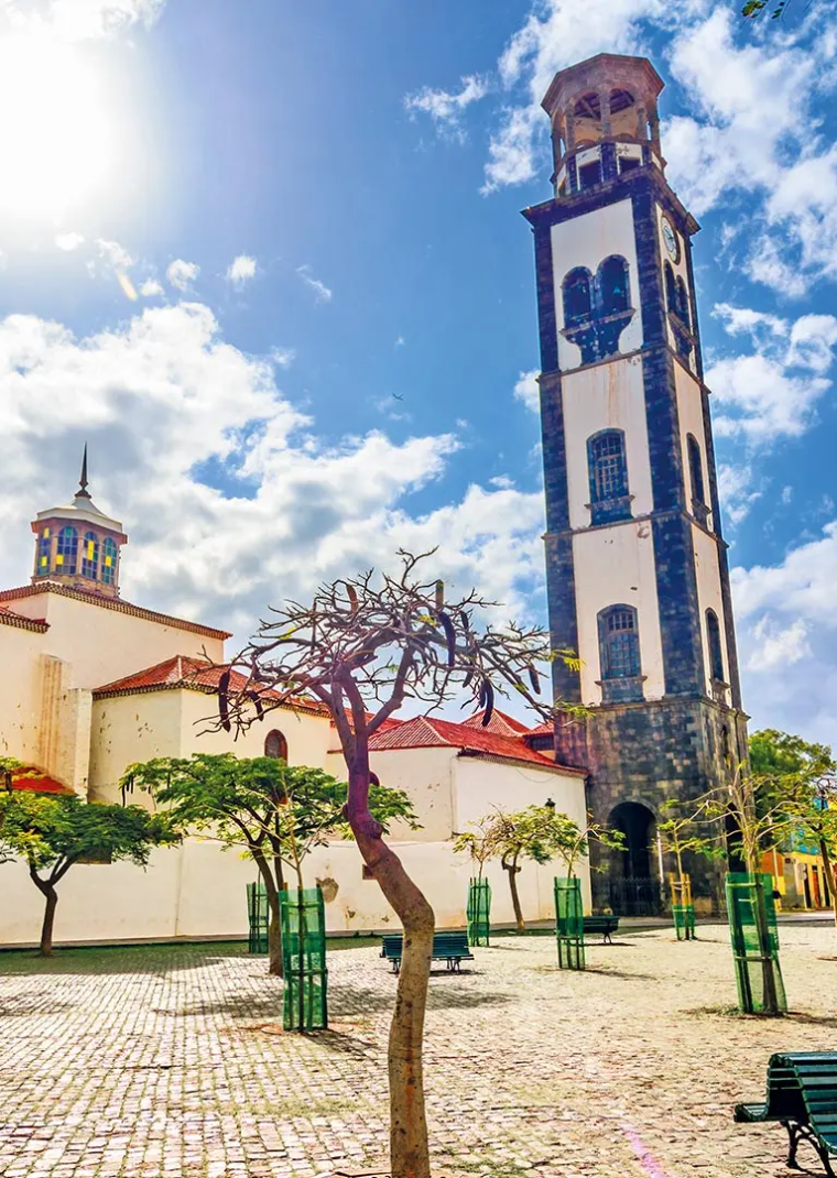 Einem 4-Sterne-Hotel in Puerto de la Cruz und einem Ausflug in die Inselhauptstadt Santa Cruz. Warum also nicht den nächsten Schritt wagen