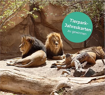 zwei von vier Jahreskarten für den Tierpark Berlin im Wert von je 69 Euro