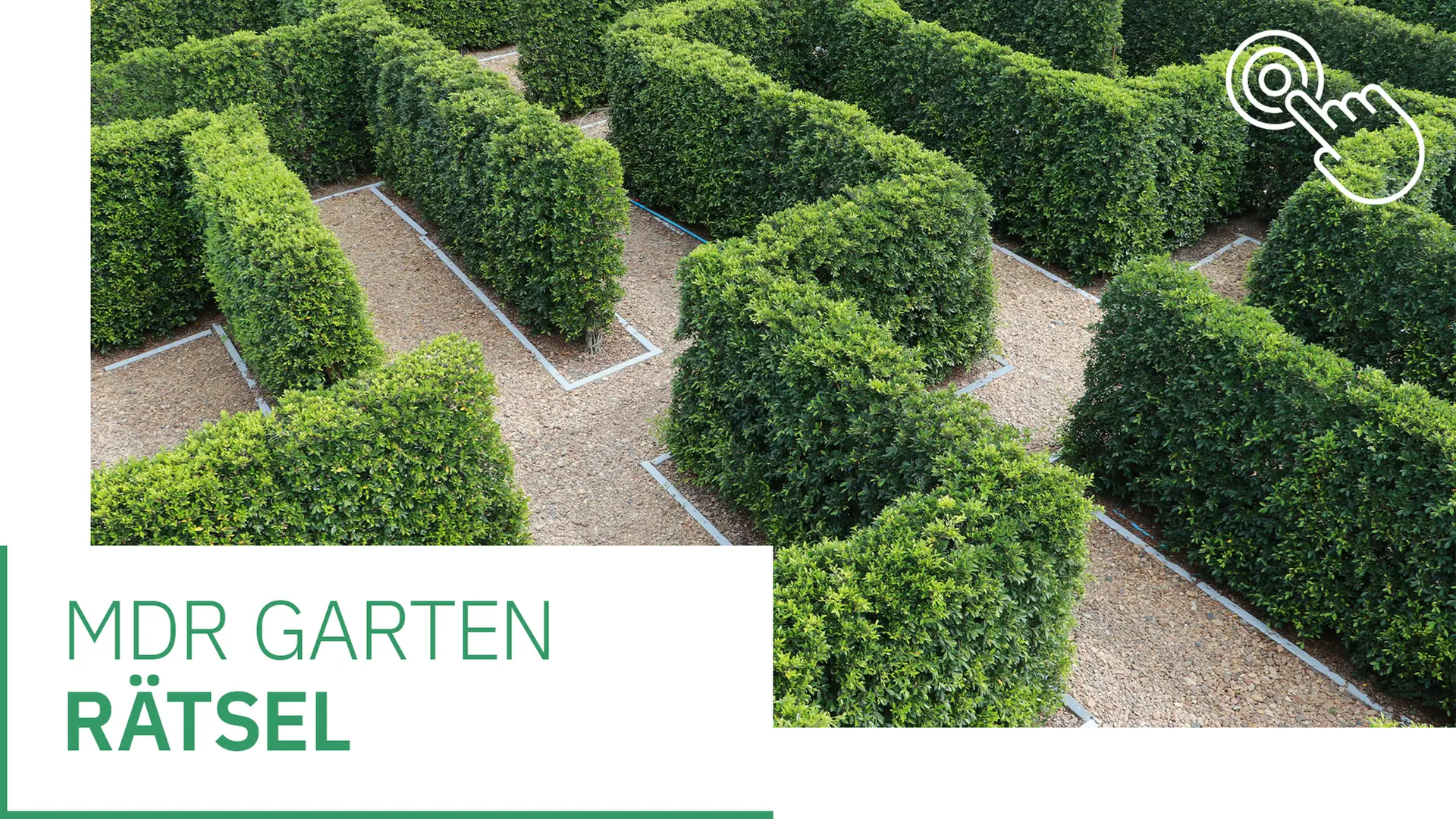 es das Ratgeber-Buch "Gärtnern für Gartenneulinge" von unserer Gartenexpertin Brigitte Goss sowie von Andreas Barlage, Hansjörg Haas und Thomas Schuster