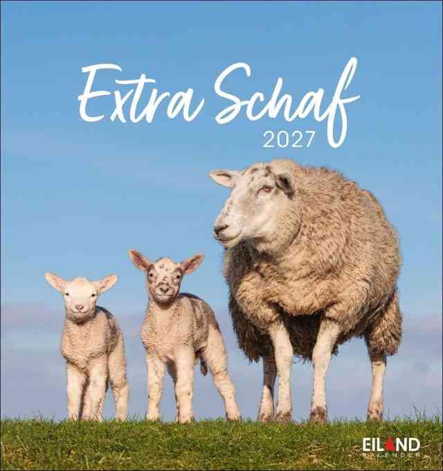 den Postkartenkalender „Extra Schaf 2027“ (Eiland Verlag)